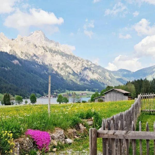 Braito'S Seaside Lodges Und Suites Haldensee Rom bilde